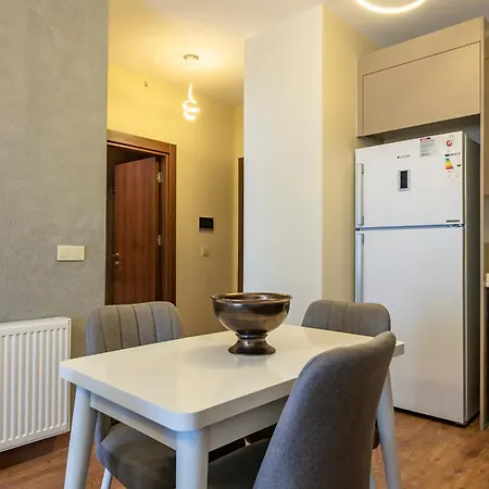 212 Outlet Karsisinda Lux N7 Appartement Istanboel